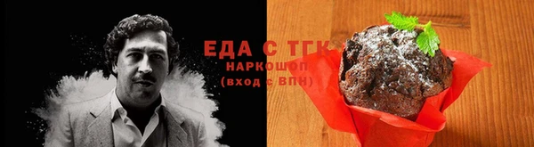 СК Надым