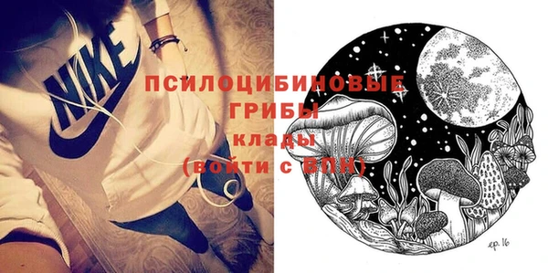 альфа пвп Нея