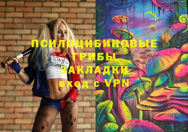 СК Надым