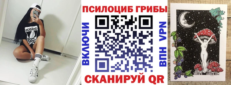 Галлюциногенные грибы Psilocybine cubensis  Чита 
