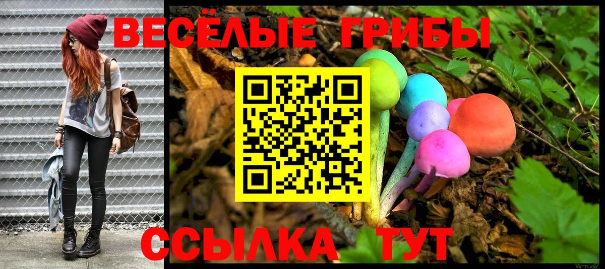 Галлюциногенные грибы Cubensis Чита