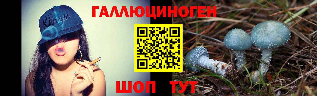 Псилоцибиновые грибы MAGIC MUSHROOMS  Псилоцибиновые грибы Cubensis  Чита 